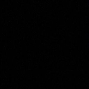 Meet your Posher, Judy